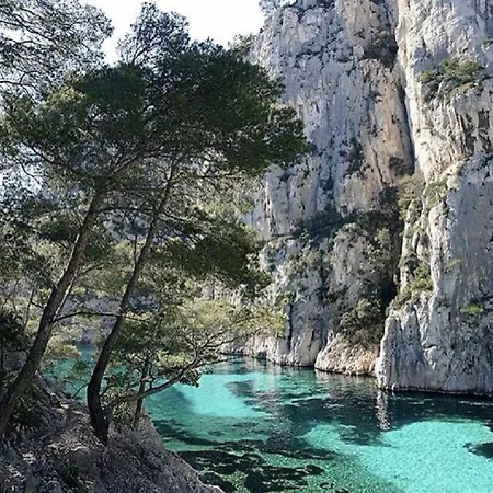 فيلة Floriane *