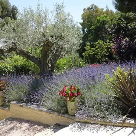 Floriane Villa Cassis