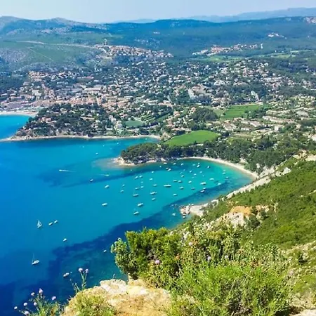 Floriane * Cassis